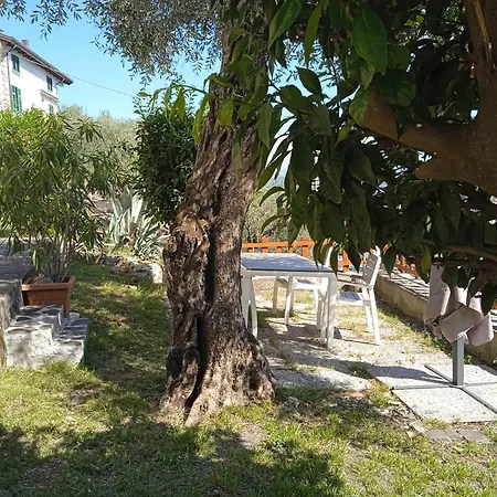 Appartamento Gli Ulivi Del Blu Parking Garden Near The Sea La Spezia
